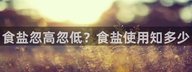 威九国际PPT