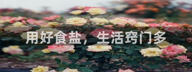 威九国际8ⅹ8x