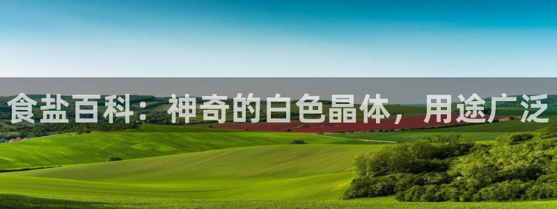 威九国际78免下载