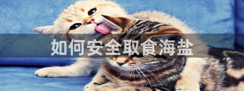 威九国际官网在线进入网站查询