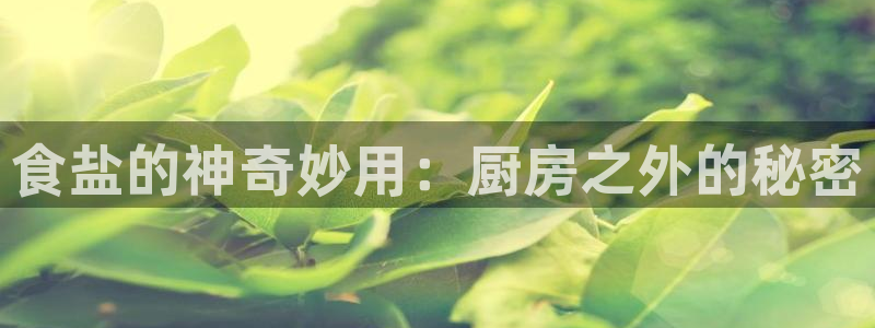 威九国际78m78下载