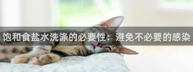 威九国际66m官网版