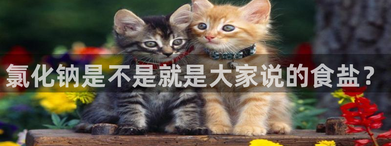 威九国际网站进入产品分类
