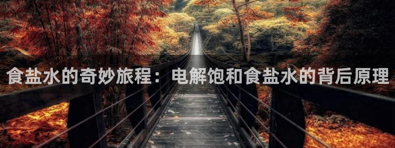 威九国际网站客服电话多少号