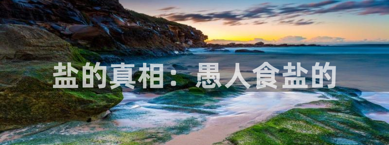 威九国际ppt免费