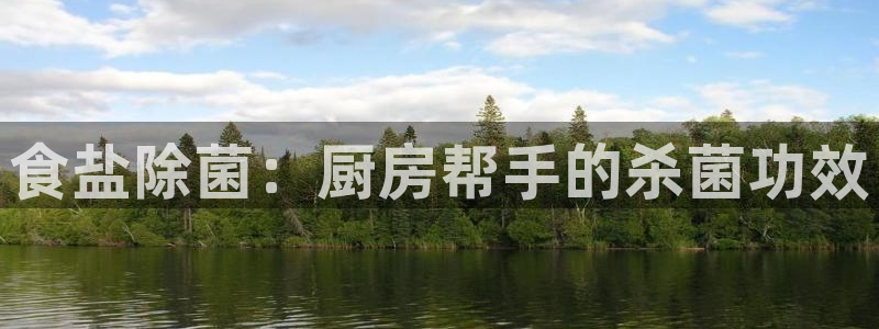 威九国际旗下艺人都有谁