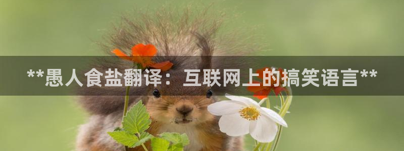威九国际国精彩片段
