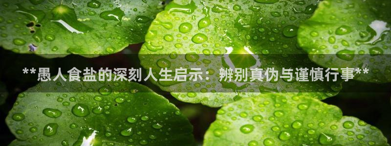 威九国际78mob官网版