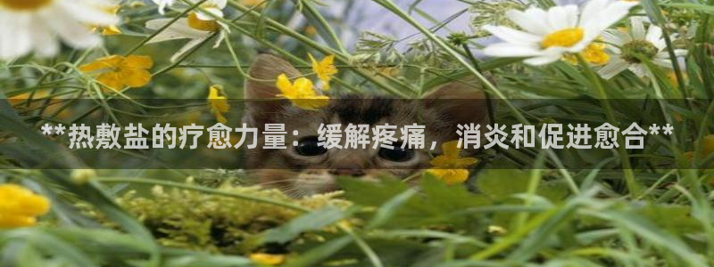威九国际网站怎么样可靠吗