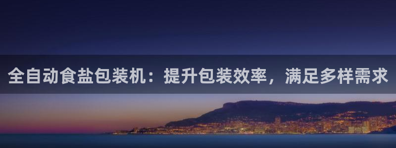 威九国际PPT