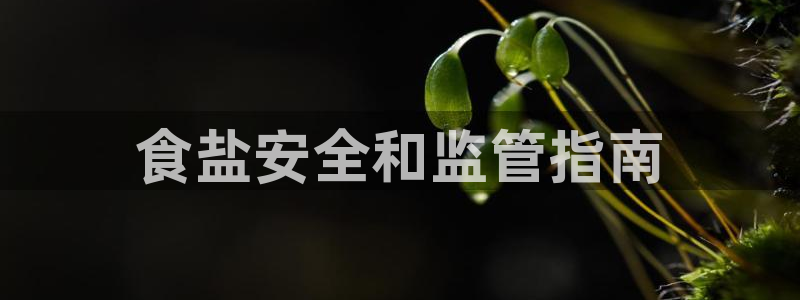 威九国际网站入口官网游戏推荐