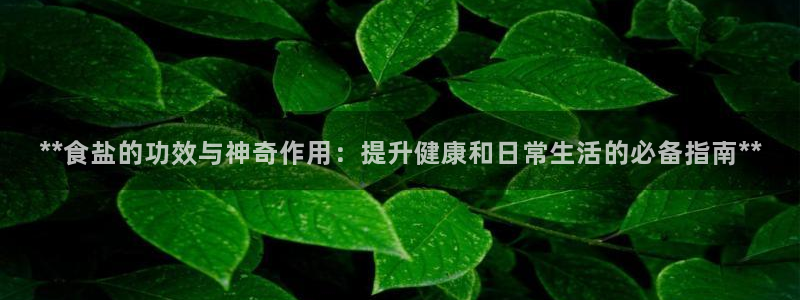 威九国际网站是多少