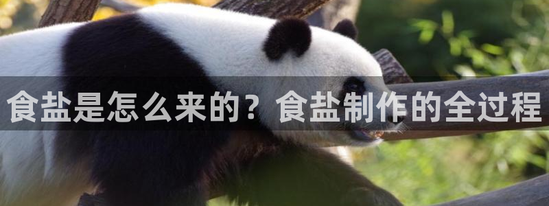 威九国际网站入口官网免费