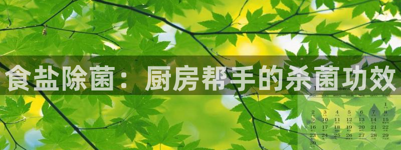 威九国际APP那个地方