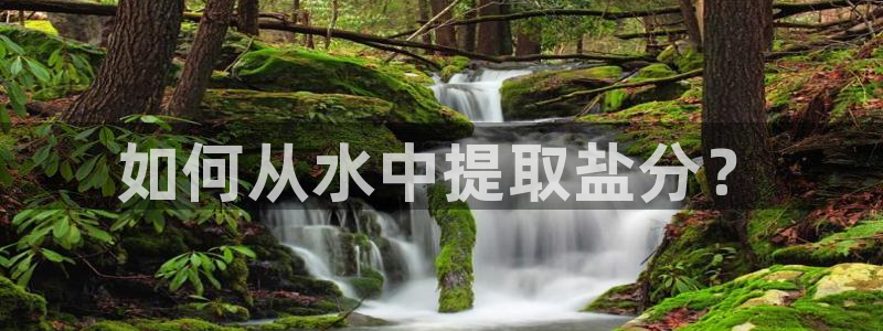 威九国际78mob游戏亮点