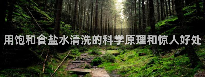 威九国际app哪个地方