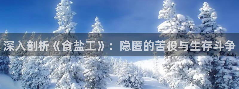 78mppt威九国际