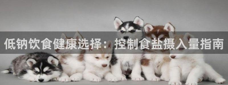 78mapp威九国际官网