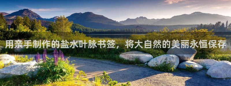 威九国际网站客服电话多少号