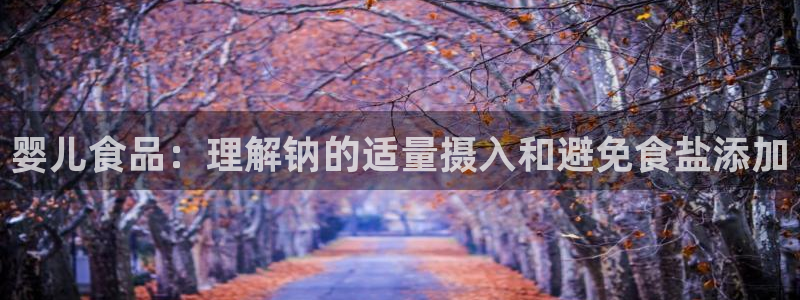 威九国际空降服务怎么样