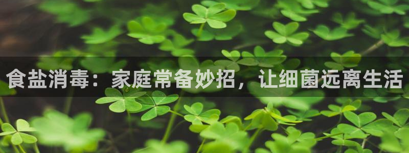 威九国际动漫
