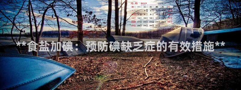 威九国际安全吗
