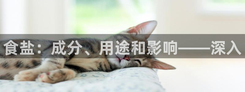 威九cp