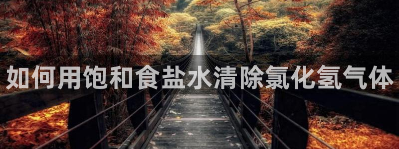 威九国际宣传片