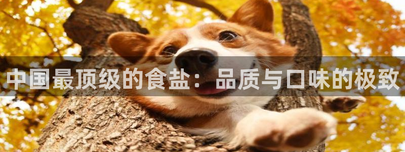威九国际女星