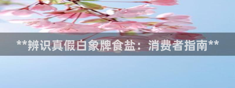 威九国际app哪个地方