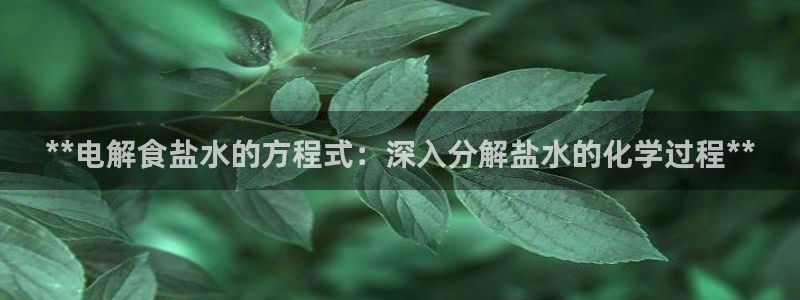 威九国际