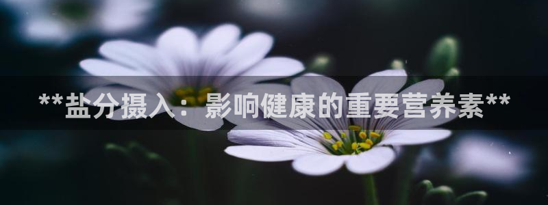威九国际留学