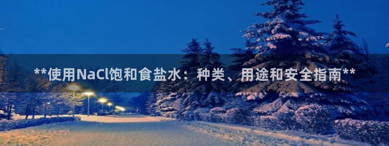 威九国际PPT