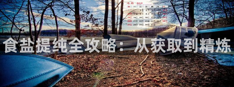 威九国际女神