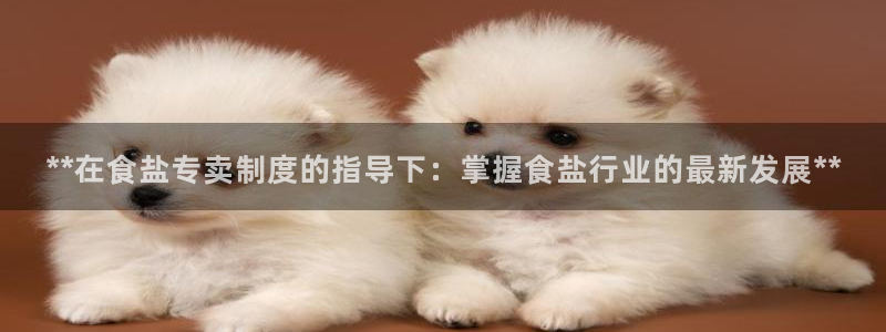 威九国际网站入口地址在哪里