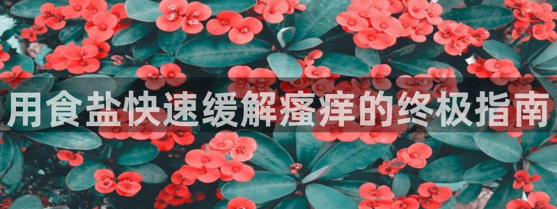 威九国际78m九妹