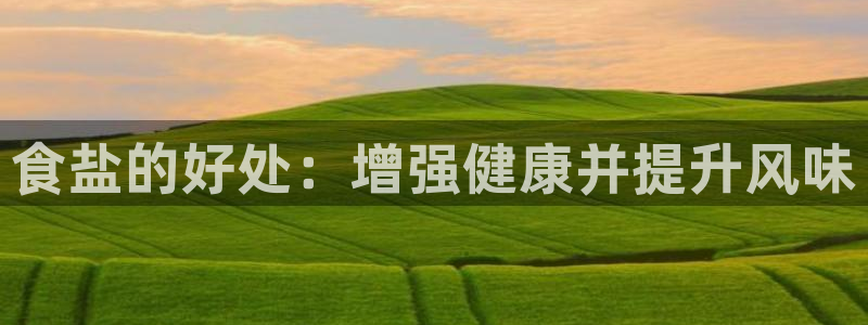 威九国际66m官网版