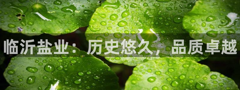 78mapp威九国际免费官方版下载