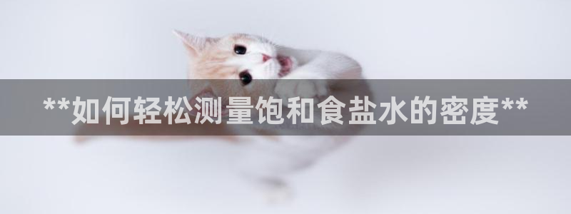威九国际的金融服务