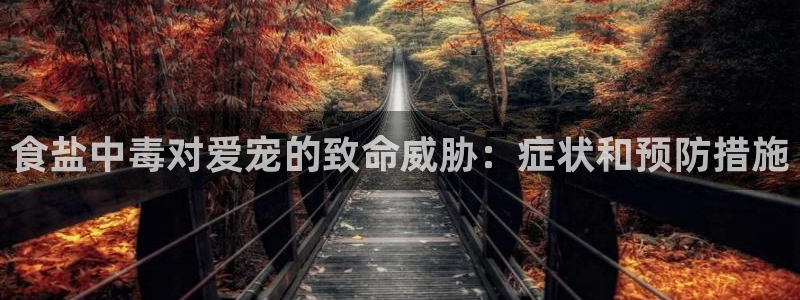 66m威九国际成长模式