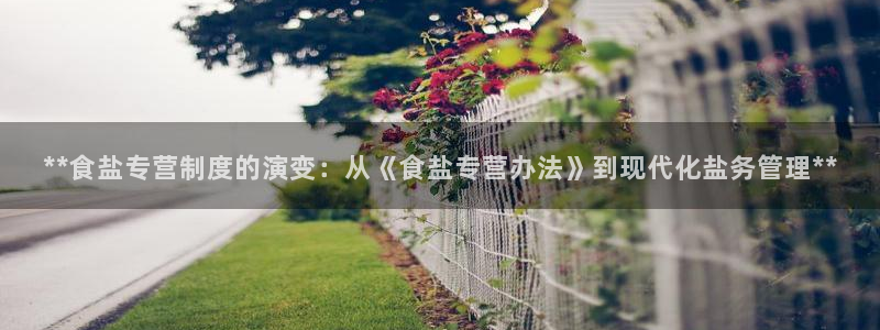 威九国际女主角
