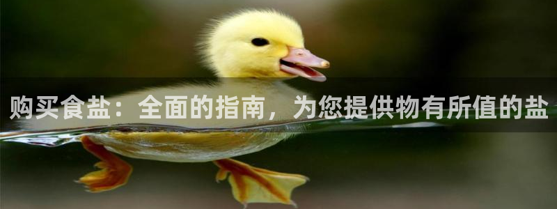 威九国际旗下艺人
