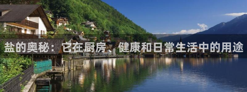 66m威九国际精选