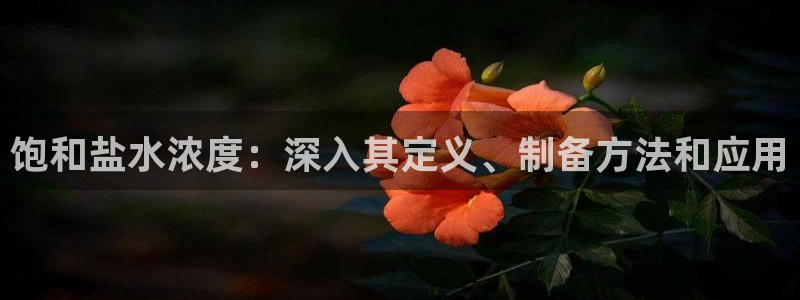 威九国际网站入囗