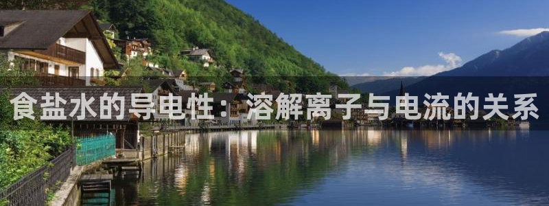 威九国际女主名字