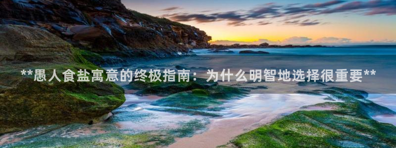 保定威九网络科技有限公司电话