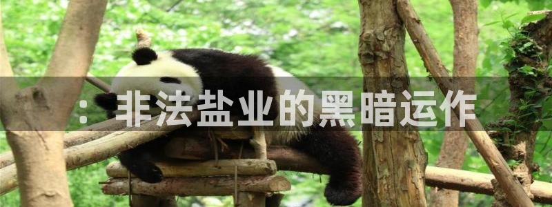 威九国际能提现吗安全吗