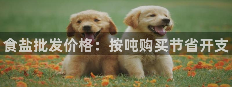 威九国际免费游戏