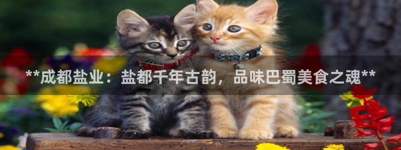 威九国际娜娜