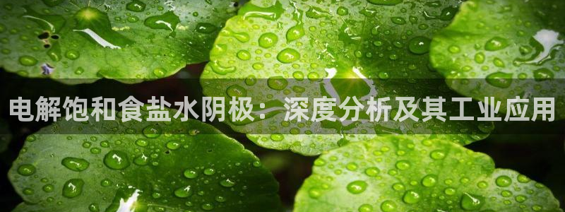 威九国际78mb下